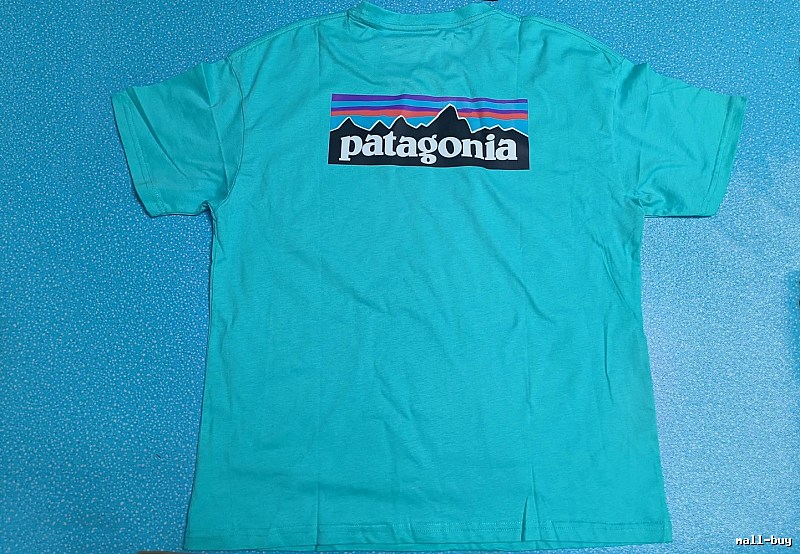 Patagonia Blue Logo T-Shirt Training Look Graphic