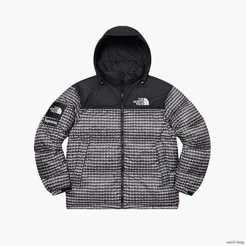 Pattern Logo The North Face Puffer Jacket for Photo Ready Looks