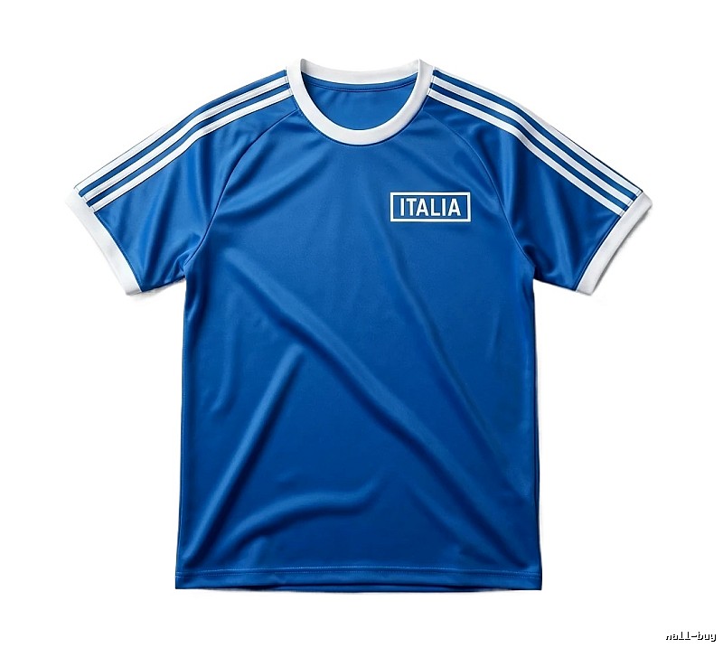 Stussy Italian-style blue T-shirt